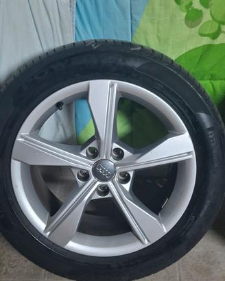 Cerchi e gomme 