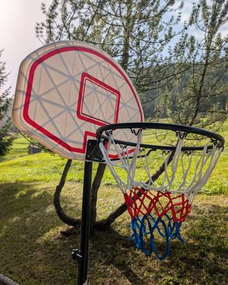 Canestro da basket 