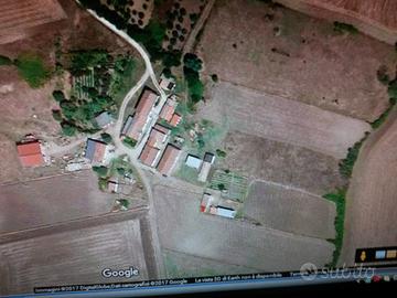 Proprietà agricola con fabbricato di nuova costruz