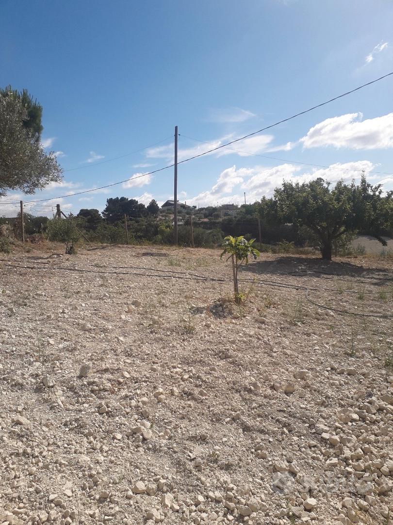 Terreno agricolo - Altro