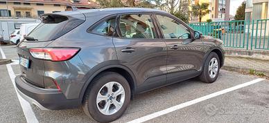 FORD Kuga 3ª serie - 2021