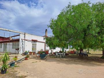 Masseria con abitazione, capannoni e terreni
