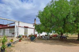 Masseria con abitazione, capannoni e terreni