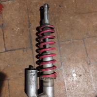 ammortizzatore yamaha 250