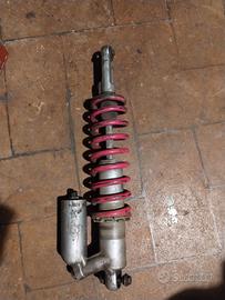ammortizzatore yamaha 250