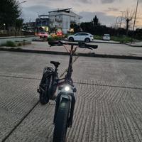 bici elettrica 