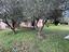 Immagine 24