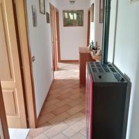 Appartamento a tagliole