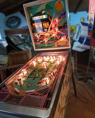 flipper tropic fun
