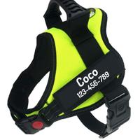 Pettorina nuova+guinzaglio