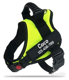 Pettorina nuova+guinzaglio