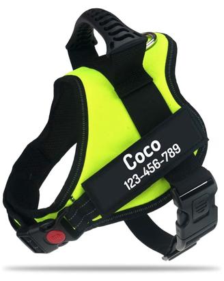 Pettorina nuova+guinzaglio