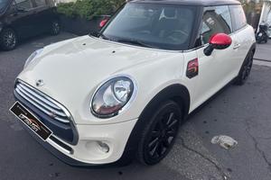 Mini 1.5 One D-2015