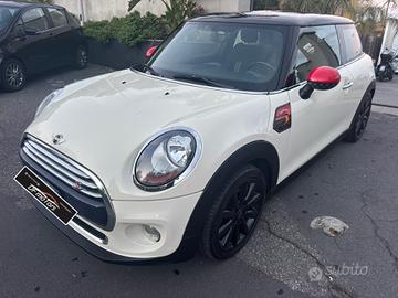 Mini 1.5 One D-2015