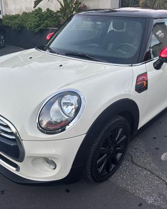 Mini 1.5 One D-2015