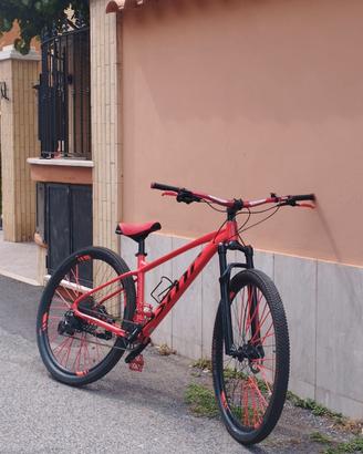 bicicletta brontes  concept 