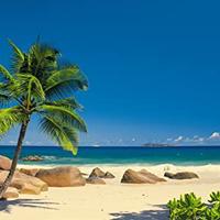 KOMER POSTER MURALE CARTA - Palme spiaggie e mare