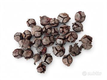 *Mini Pigne Naturali 30 Pezzi - Decorazioni Natale