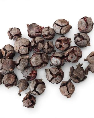 *Mini Pigne Naturali 30 Pezzi - Decorazioni Natale