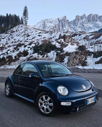 New beetle volkswagen