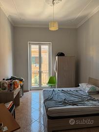 Stanza a 230€ al mese