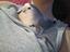 Immagine 1