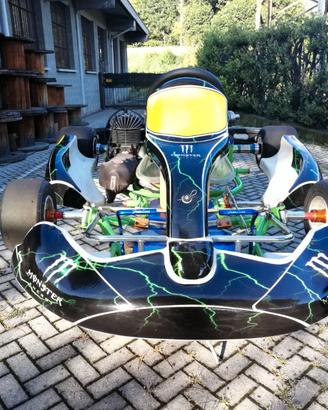 Go kart, Easy kart 100 cc