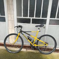 Bianchi ragno thomisus anno 1998