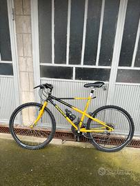 Bianchi ragno thomisus anno 1998