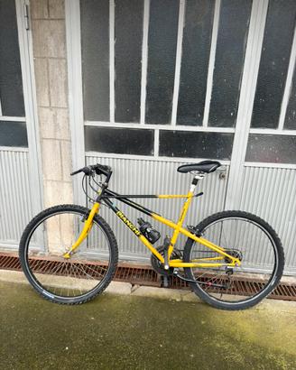 Bianchi ragno thomisus anno 1998