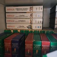 "Animali in primo piano" (Piero Angela) 40VHS