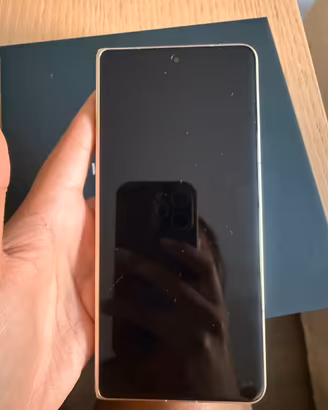 HONOR MAGIC V5 + case