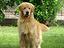 Immagine 25
