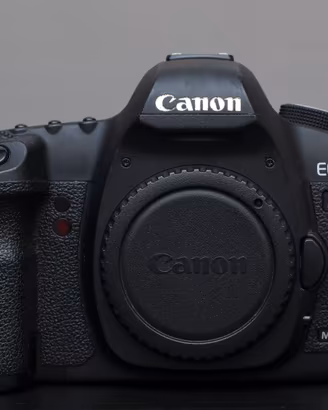 Canon EOS 5D Mark II –  74.292 scatti