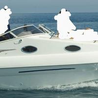 BAHIA 20 (anno 2010)