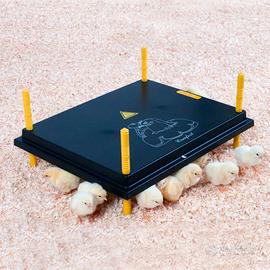 Chioccia Artificiale Per 40/45 pulcini BOROTTO