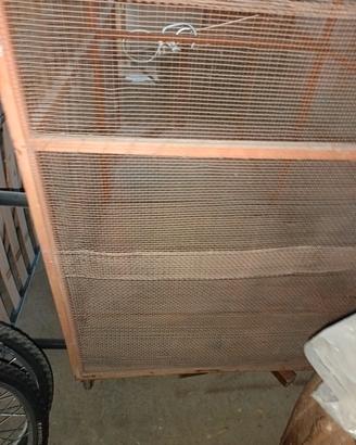 Voliera/ gabbi con porta e pavimentazione in legno