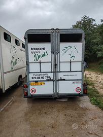  biga fautras trasporti cavalli