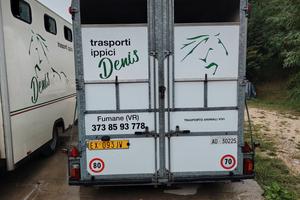  biga fautras trasporti cavalli