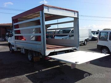 Daily 35.12 SPONDA CARICATRICE 8,00 KG