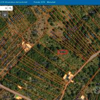 Terreno agricolo - frutteto