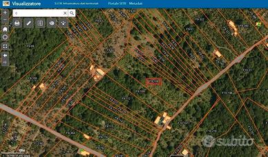 Terreno agricolo - frutteto