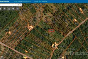 Terreno agricolo - frutteto