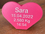 Immagine 2