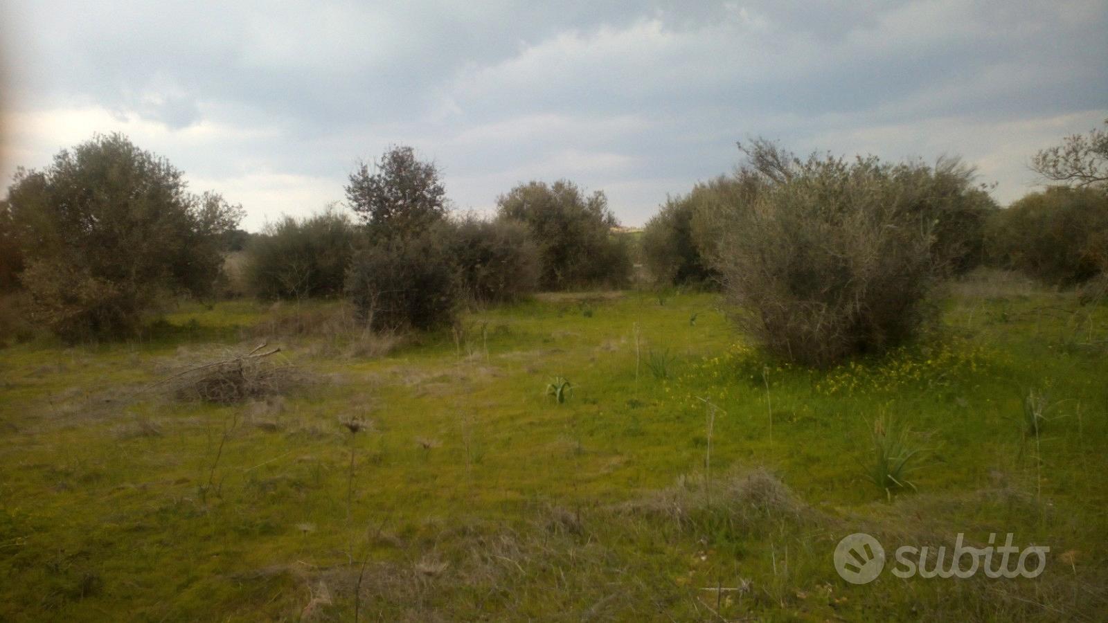 Monastir , terreno agricolo di 9100mq - Vista 4