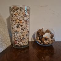 Vasi vetro con conchiglie e  rosa del deserto