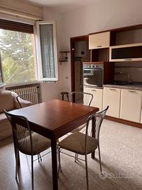 Bilocale arredato libero subito