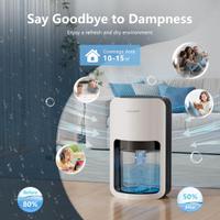 Deumidificatore 1200 ml Muffa e Umidità Silenzioso