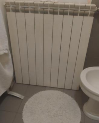 termosifone alluminio 