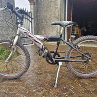 Bicicletta da bambino